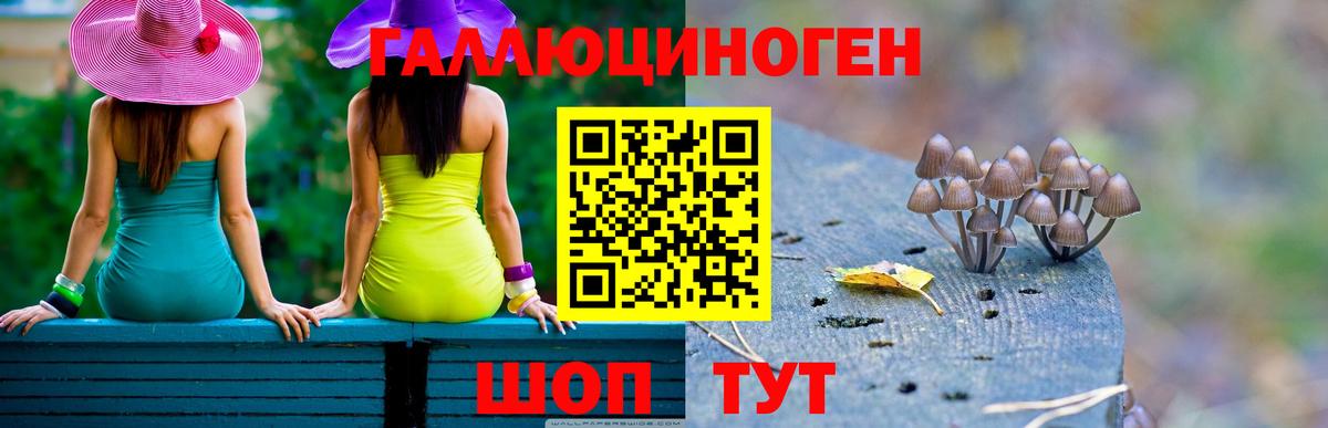 Галлюциногенные грибы GOLDEN TEACHER  Вход с VPN  Миасс 